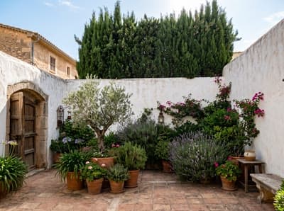 Mediterranean backyard design