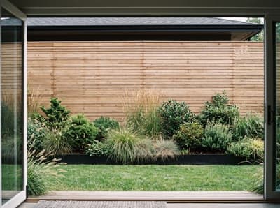Modern backyard design