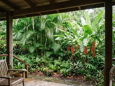 Tropical backyard design